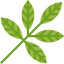 Leaf Ikona 64x64