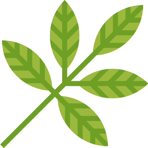 Leaf icon