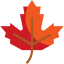 Maple leaf Ikona 64x64
