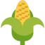 Corn Ikona 64x64