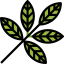 Leaf icon 64x64
