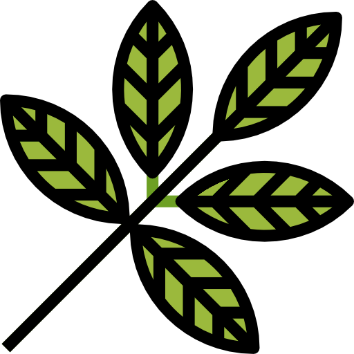 Leaf icon