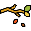 Branch 图标 64x64