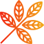 Leaf icône 64x64