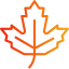 Maple leaf icône 64x64
