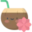 Coconut icon 64x64