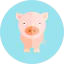 Pig icon 64x64