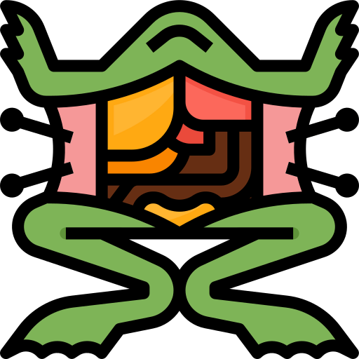 Frog icon