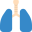Lung icône 64x64