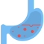 Stomach icon 64x64
