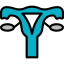 Uterus icon 64x64