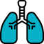 Lung Symbol 64x64