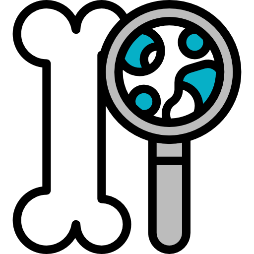 Bone icon