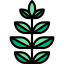 Spinach іконка 64x64