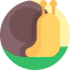 Snail icon 64x64