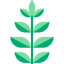 Spinach icon 64x64
