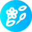 Spring 상 64x64