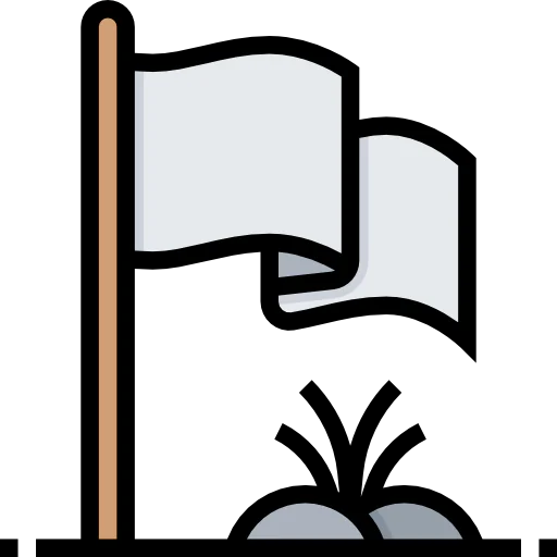 Flag icon