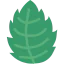 Mint 图标 64x64