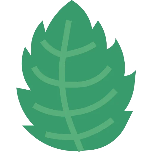 Mint icon