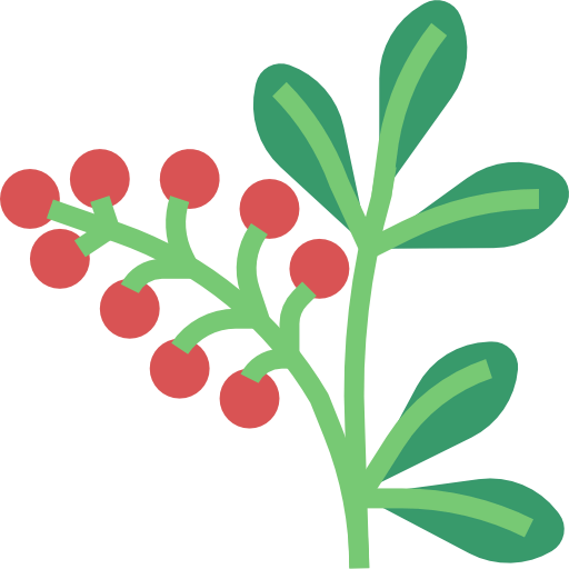 Berries icon