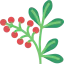 Berries 图标 64x64