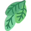 Spinach Symbol 64x64