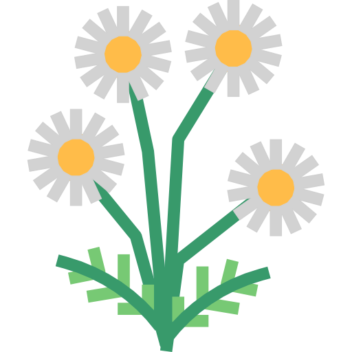 Chamomile icon