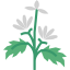Herb 图标 64x64