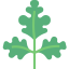 Parsley 图标 64x64