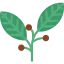 Berries 图标 64x64