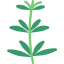 Herb 图标 64x64