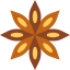Anise 图标 64x64