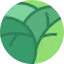 Ginkgo 图标 64x64