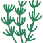 Herb 图标 64x64