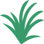 Lemongrass 图标 64x64