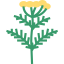 Herb 图标 64x64