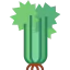 Celery 图标 64x64