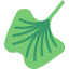 Lettuce 图标 64x64