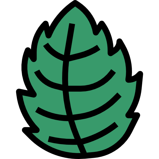 Mint icon