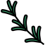 Rosemary 图标 64x64