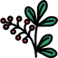 Berries 图标 64x64