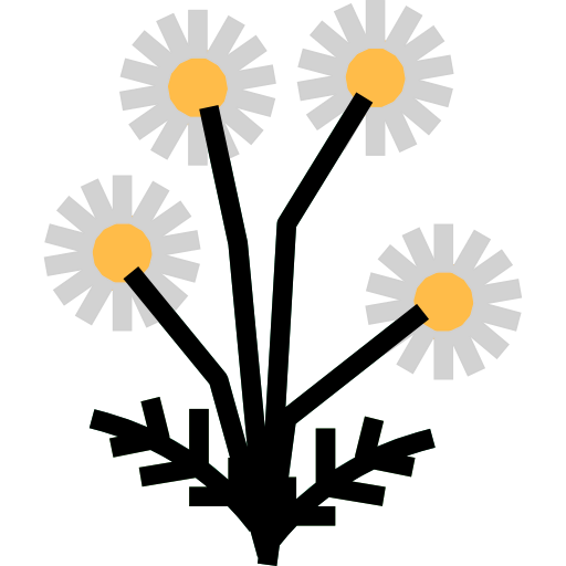 Chamomile icon