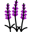 Ginkgo 图标 64x64