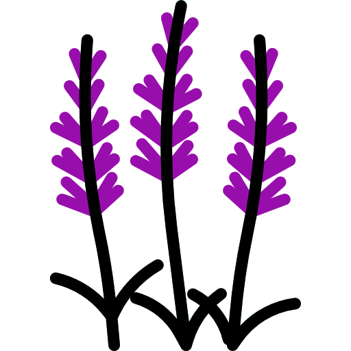 Ginkgo icon