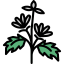 Herb 图标 64x64