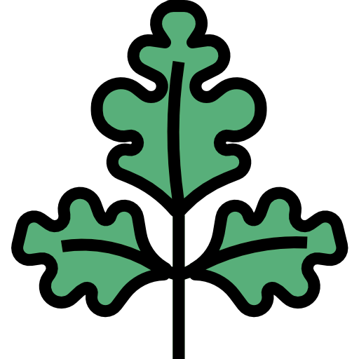 Parsley icon
