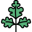 Parsley 图标 64x64