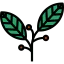 Berries 图标 64x64