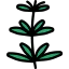 Herb 상 64x64